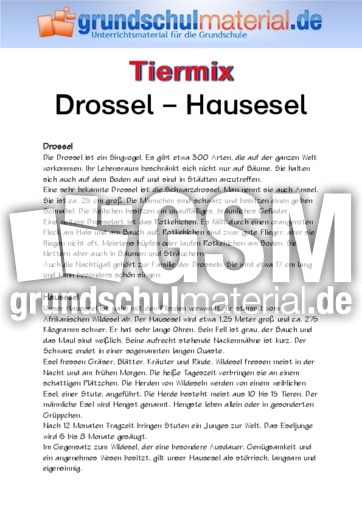 Drossel - Hausesel.pdf